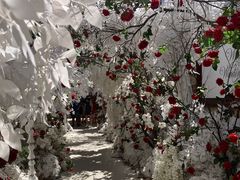 -The Grounds of Alexandria