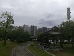 -飞来湖湿地公园