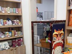 -四月宠物医院·猫专科·心脏专科·内科(转塘店)