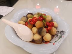 -八珍饺子·烤鸭·家常菜