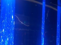 -碧涛阁·泡泡海洋·汤泉洗浴(王府花园店)