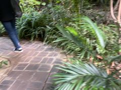 -呀路古热带植物园