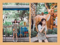 -晓港公园