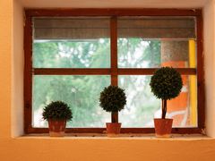 -长颈鹿咖啡(大学路店)