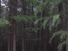 -蜀冈西峰生态公园