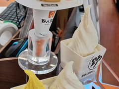 -野人先生Gelato(上海长宁龙之梦店)