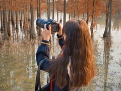 -白鹭湾湿地公园