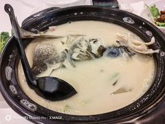 特色天目湖鱼头汤-南八仙·老上海味道(南京东路店)