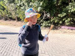 -上海海湾国家森林公园