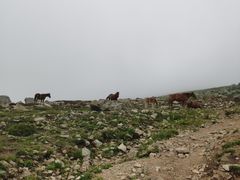 -灵山