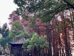-东湖落雁景区