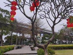 -西堤公园
