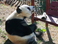 -大连森林动物园