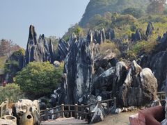 -玉石林风景区