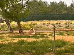 -秦皇岛野生动物园