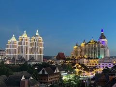 -傣家黑山羊汤锅(告庄店)