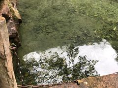 -太湖源风景区