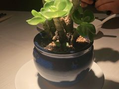 -玉满堂·湖北融合菜