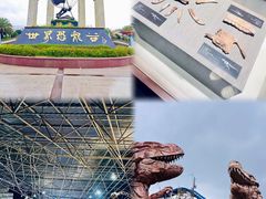 -世界恐龙谷景区