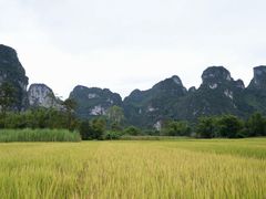 -明仕田园