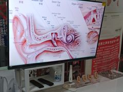 -自然之声助听器·呼吸机(公园路店)