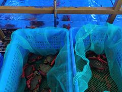 -膳富贵黄油蟹体验馆(欢乐港湾店)