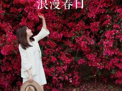 -厦门国家会计学院