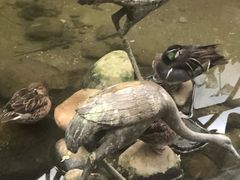 -九尊食上(生态园林酒店)