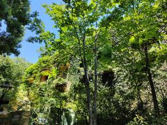 -三鹰之森吉卜力美术馆