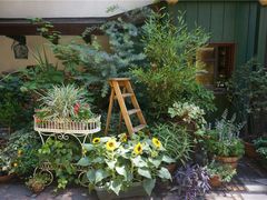 -三鹰之森吉卜力美术馆