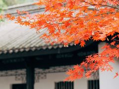 -上海佘山国家森林公园天马山园