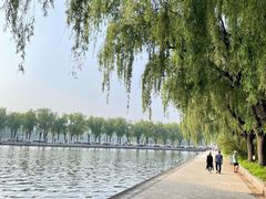 -北陵公园