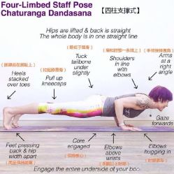 点击看大图 -FineYoga梵音瑜伽·普拉提