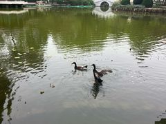 -宣武艺园