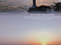 -合肥滨湖国家森林公园