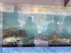 -香港厨房