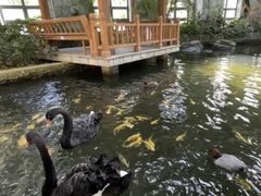 -南宫五洲植物乐园