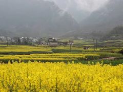 -新安江山水画廊风景区