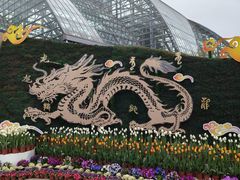-南山植物园