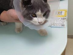 -宠福鑫康馨动物医院·骨科·眼科