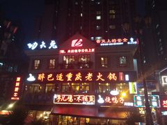 -功夫兔