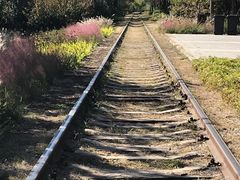 -永定河休闲森林公园