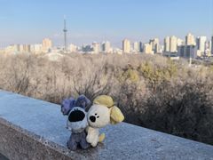 -丝路有约·优雅新疆菜(万宴城店)