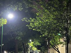 -上海理工大学(复兴路校区)