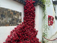 -青果巷历史文化街区