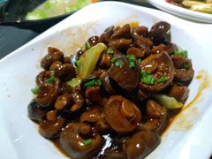 -小杨酒家(华苑小区店)
