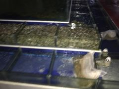 -海鲜城大家餐厅