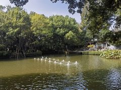 -绮园景区