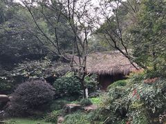 -中国茶叶博物馆(双峰馆区)