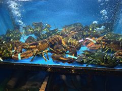 -上海1号私藏菜(黄浦店)